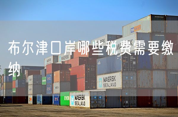 布尔津口岸哪些税费需要缴纳