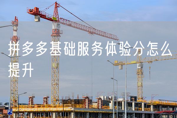 拼多多基础服务体验分怎么提升