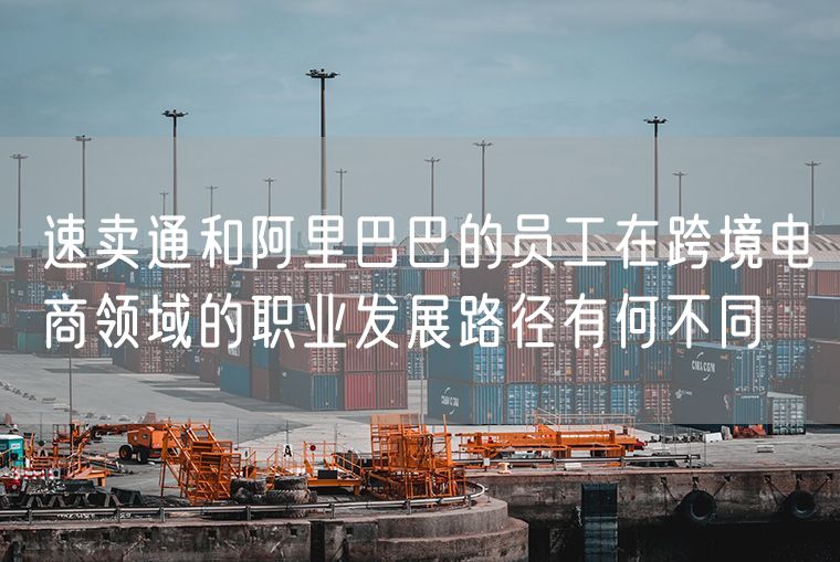 速卖通和阿里巴巴的员工在跨境电商领域的职业发展路径有何不同