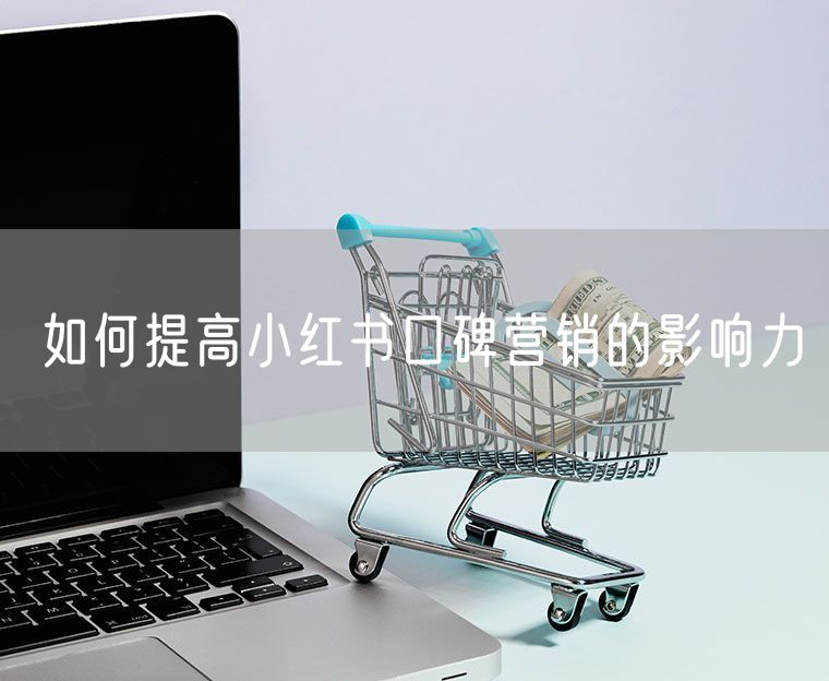 如何提高小红书口碑营销的影响力