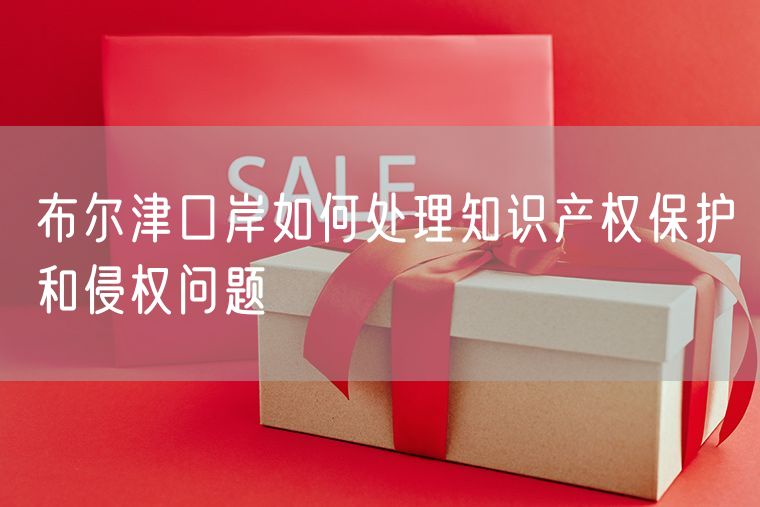 布尔津口岸如何处理知识产权保护和侵权问题