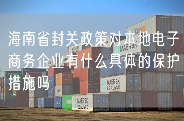 海南省封关政策对本地电子商务企业有什么具体的保护措施吗