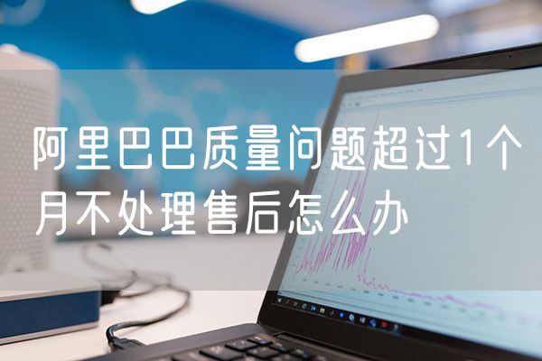 阿里巴巴质量问题超过1个月不处理售后怎么办