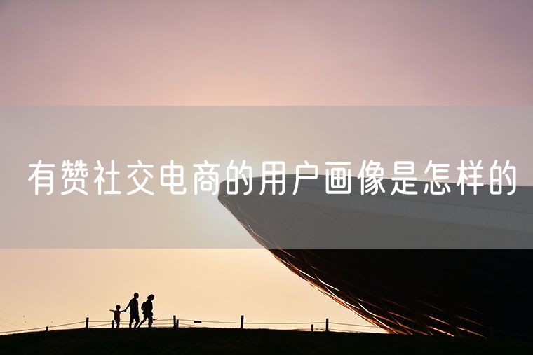 有赞社交电商的用户画像是怎样的
