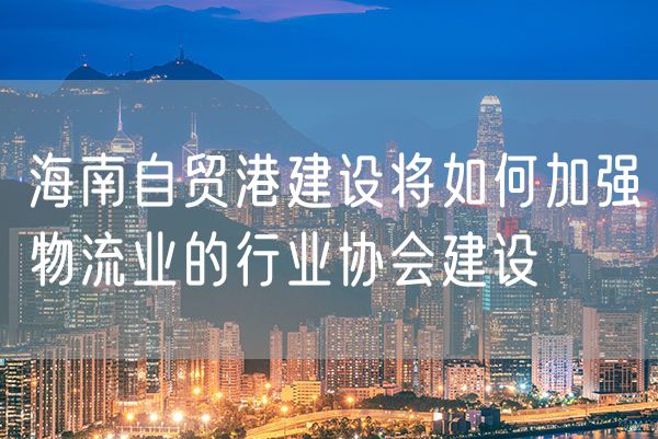 海南自贸港建设将如何加强物流业的行业协会建设
