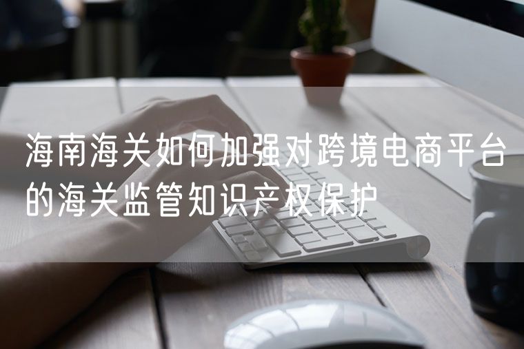 海南海关如何加强对跨境电商平台的海关监管知识产权保护