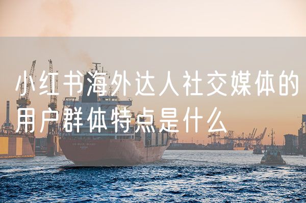 小红书海外达人社交媒体的用户群体特点是什么