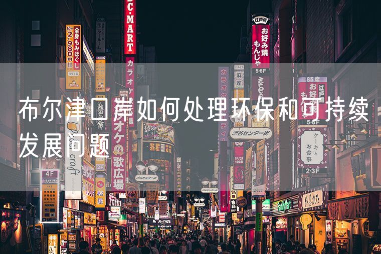 布尔津口岸如何处理环保和可持续发展问题