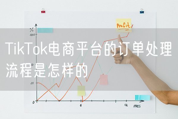 TikTok电商平台的订单处理流程是怎样的