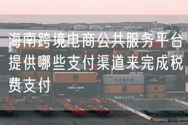 海南跨境电商公共服务平台提供哪些支付渠道来完成税费支付