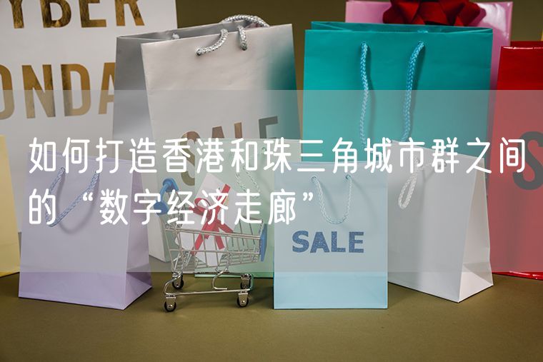 如何打造香港和珠三角城市群之间的“数字经济走廊”