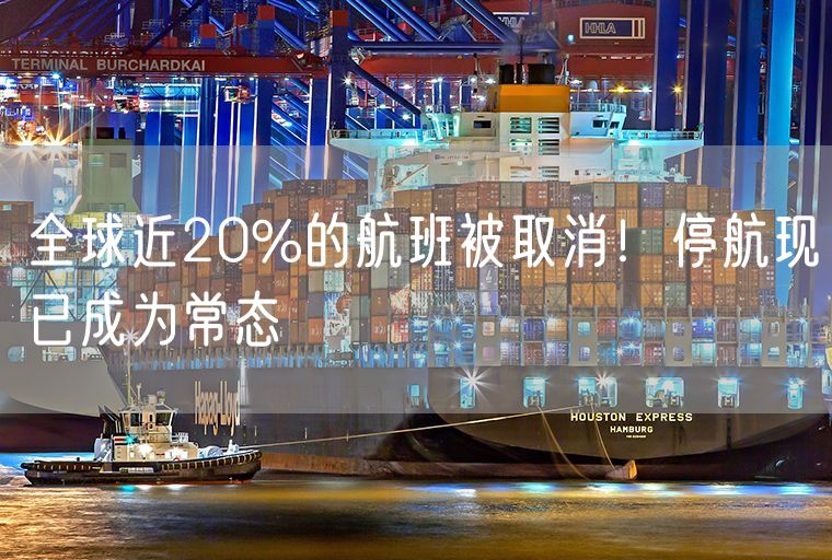 全球近20%的航班被取消！停航现已成为常态