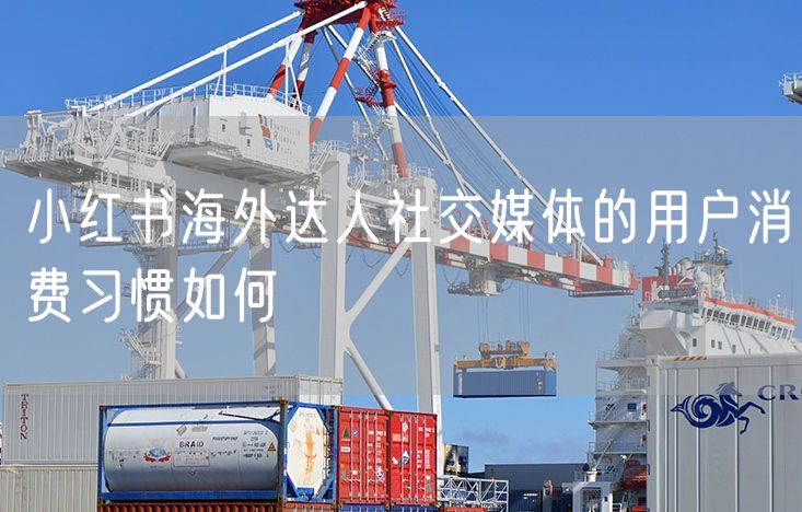 小红书海外达人社交媒体的用户消费习惯如何
