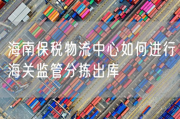 海南保税物流中心如何进行海关监管分拣出库