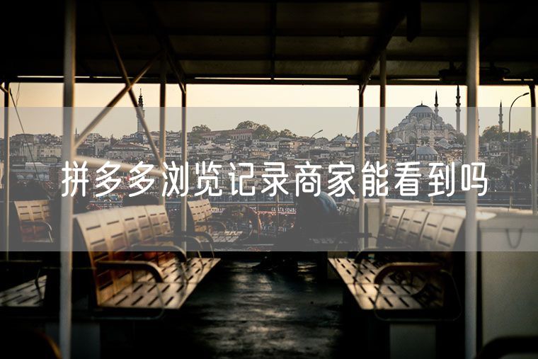 拼多多浏览记录商家能看到吗