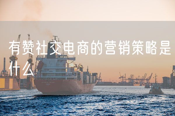 有赞社交电商的营销策略是什么