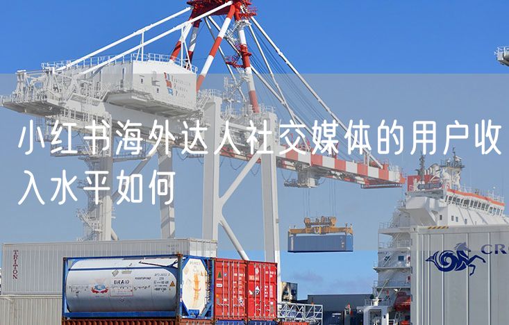 小红书海外达人社交媒体的用户收入水平如何