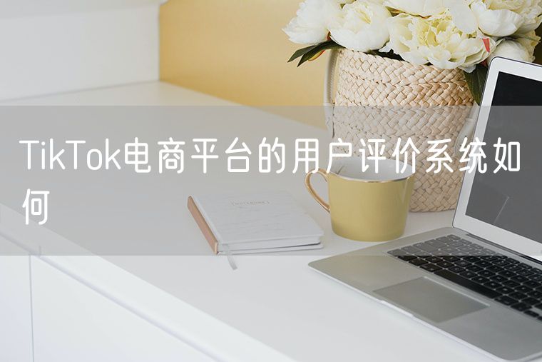 TikTok电商平台的用户评价系统如何