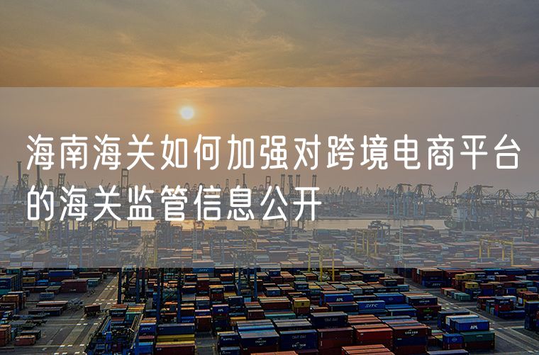 海南海关如何加强对跨境电商平台的海关监管信息公开