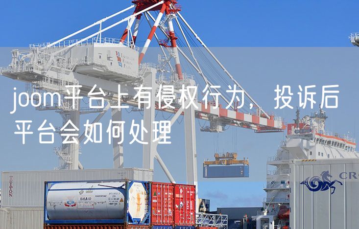 joom平台上有侵权行为，投诉后平台会如何处理