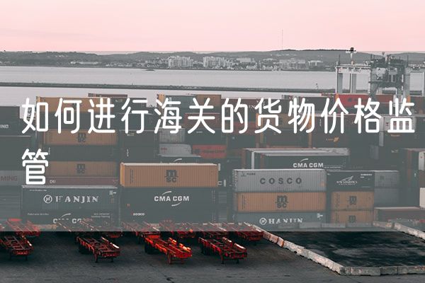 如何进行海关的货物价格监管