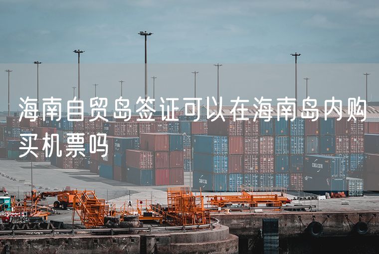 海南自贸岛签证可以在海南岛内购买机票吗