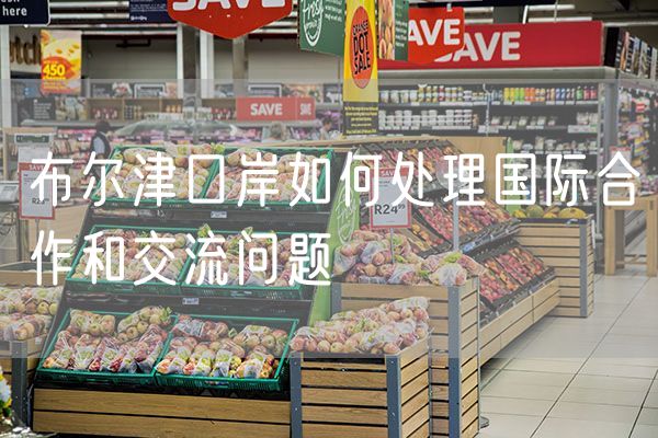 布尔津口岸如何处理国际合作和交流问题