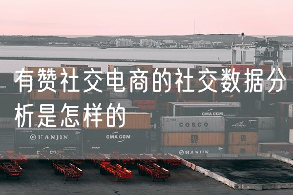 有赞社交电商的社交数据分析是怎样的