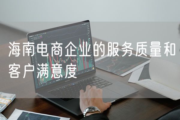 海南电商企业的服务质量和客户满意度