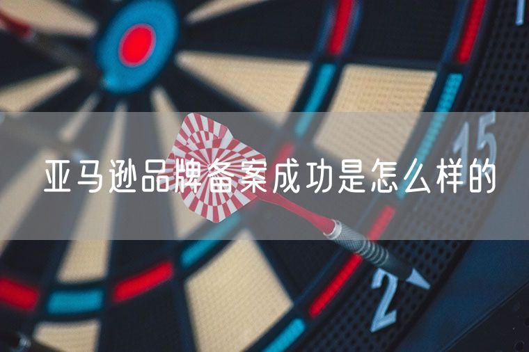 亚马逊品牌备案成功是怎么样的