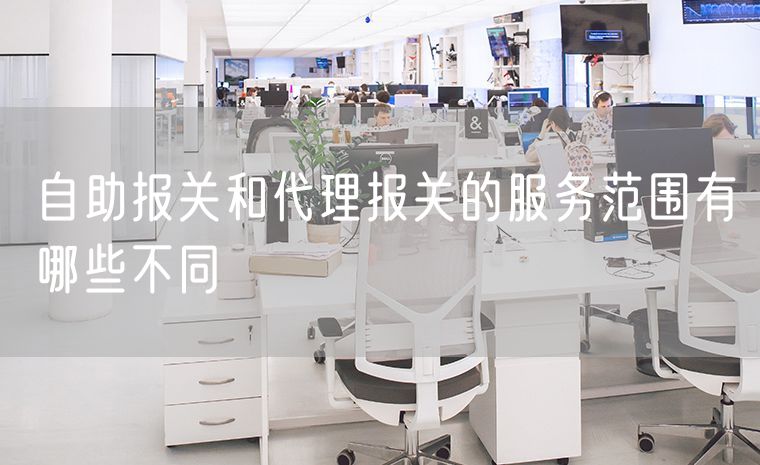 自助报关和代理报关的服务范围有哪些不同
