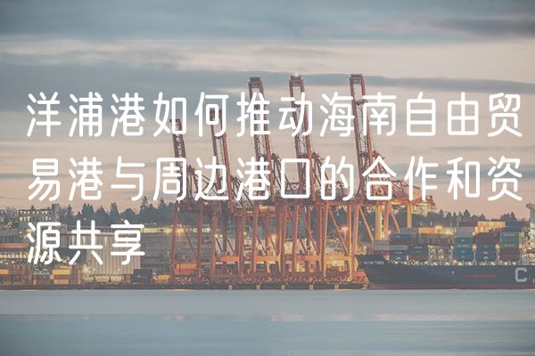 洋浦港如何推动海南自由贸易港与周边港口的合作和资源共享