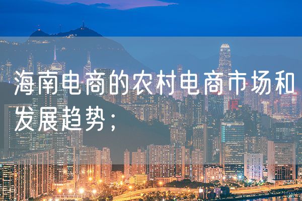 海南电商的农村电商市场和发展趋势；