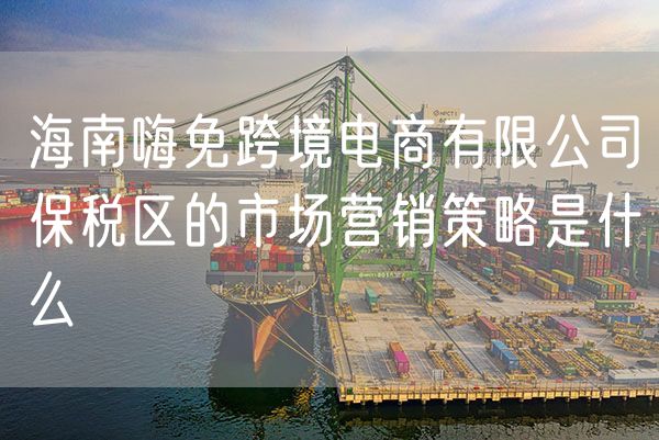海南嗨免跨境电商有限公司保税区的市场营销策略是什么