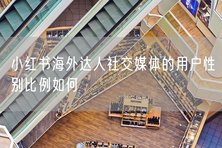 小红书海外达人社交媒体的用户性别比例如何
