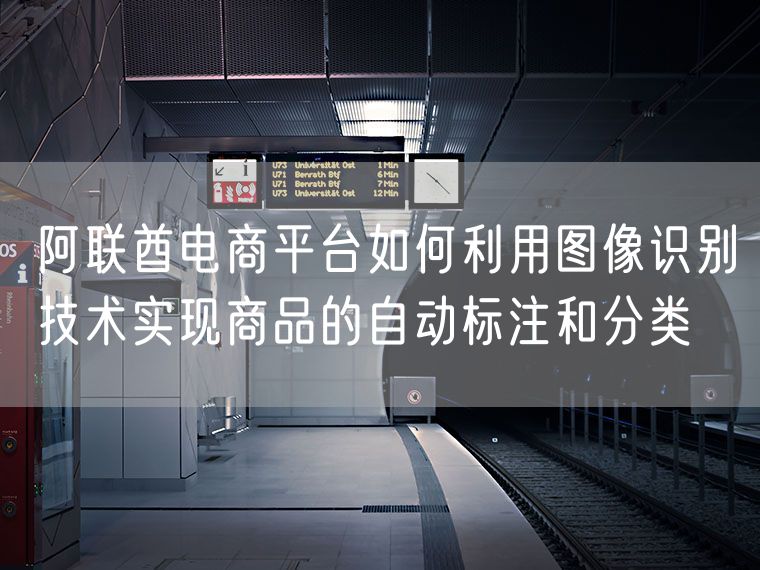 阿联酋电商平台如何利用图像识别技术实现商品的自动标注和分类