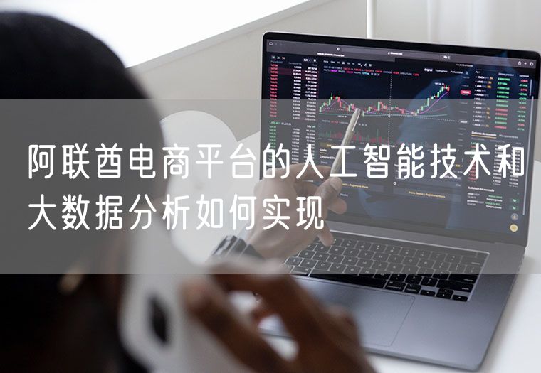 阿联酋电商平台的人工智能技术和大数据分析如何实现