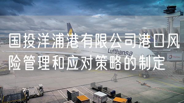 国投洋浦港有限公司港口风险管理和应对策略的制定