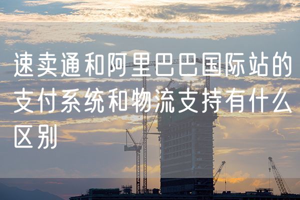 速卖通和阿里巴巴国际站的支付系统和物流支持有什么区别