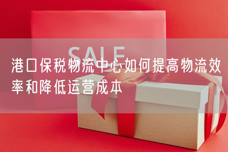 港口保税物流中心如何提高物流效率和降低运营成本