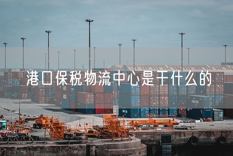 港口保税物流中心是干什么的