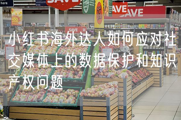 小红书海外达人如何应对社交媒体上的数据保护和知识产权问题