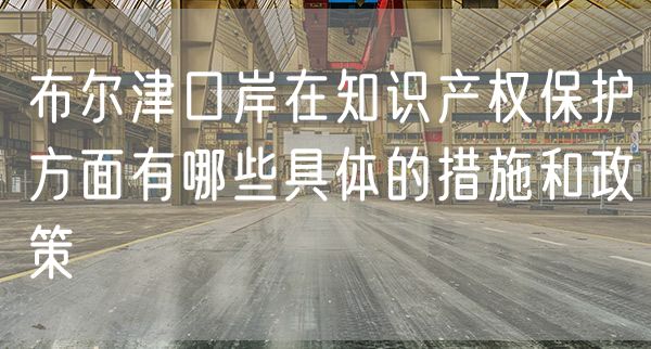 布尔津口岸在知识产权保护方面有哪些具体的措施和政策