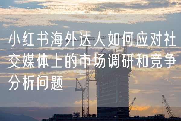 小红书海外达人如何应对社交媒体上的市场调研和竞争分析问题