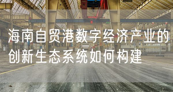 海南自贸港数字经济产业的创新生态系统如何构建