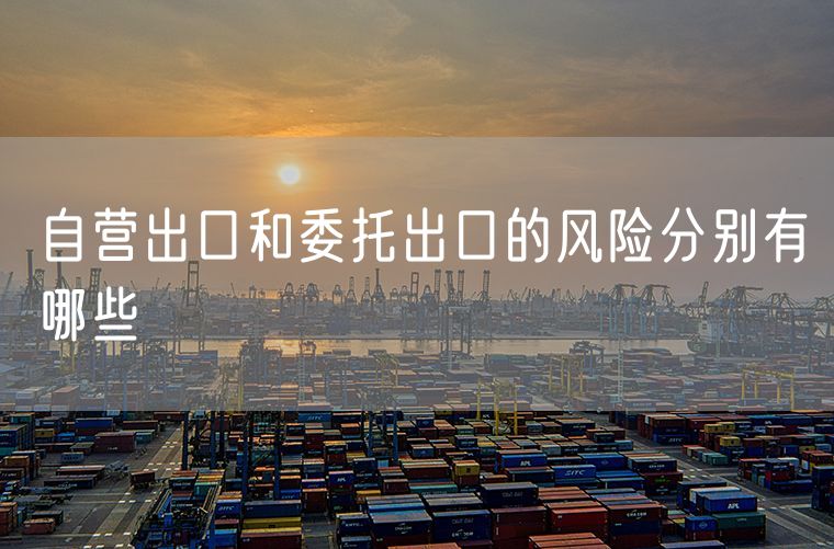 自营出口和委托出口的风险分别有哪些