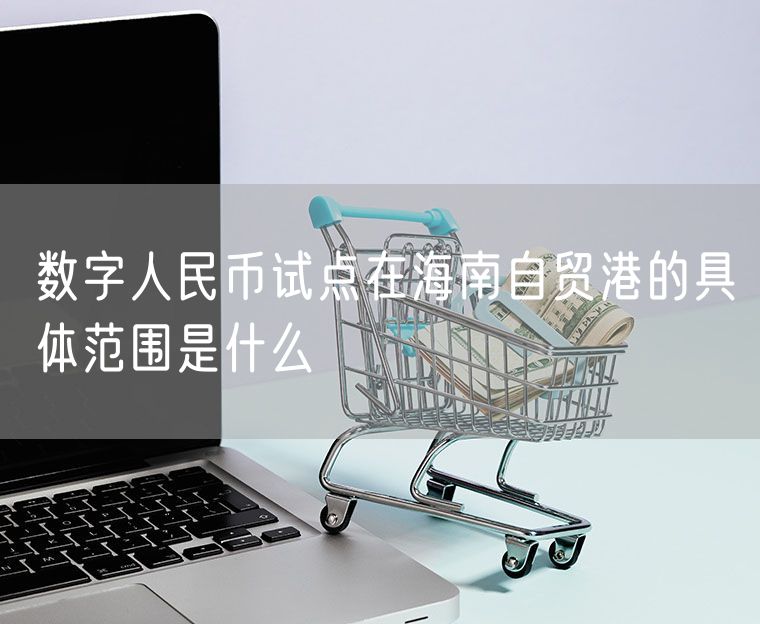 数字人民币试点在海南自贸港的具体范围是什么