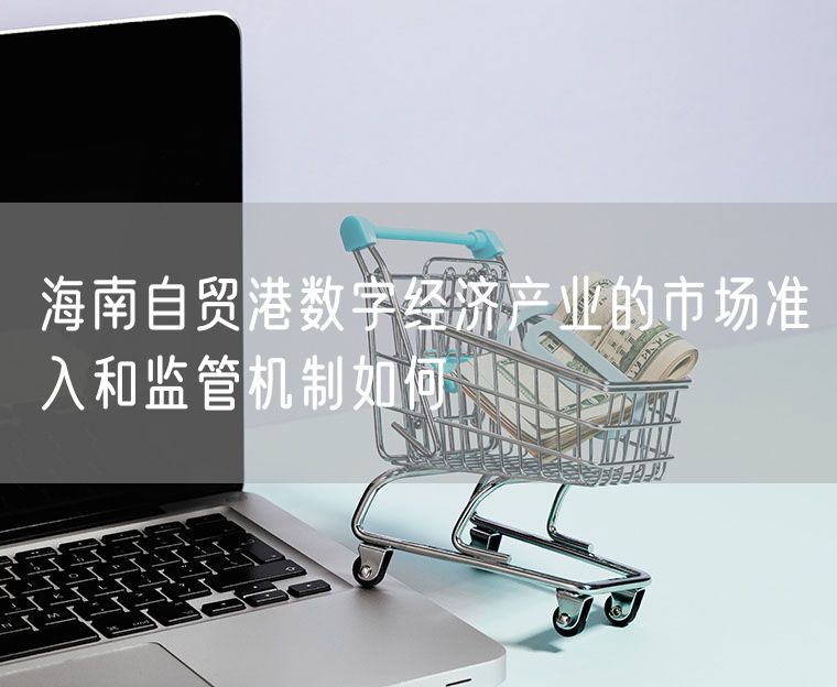 海南自贸港数字经济产业的市场准入和监管机制如何