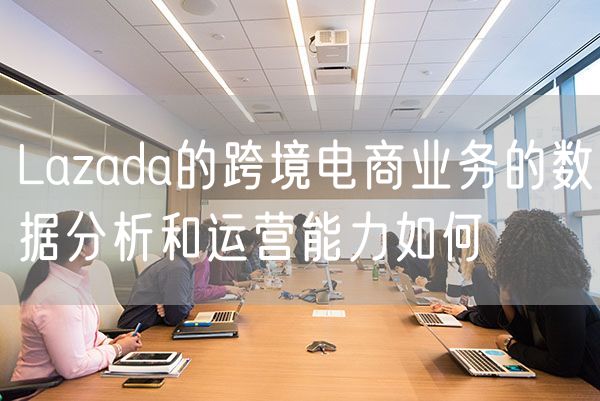 Lazada的跨境电商业务的数据分析和运营能力如何