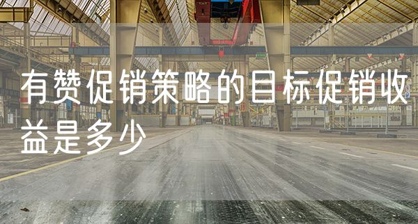 有赞促销策略的目标促销收益是多少